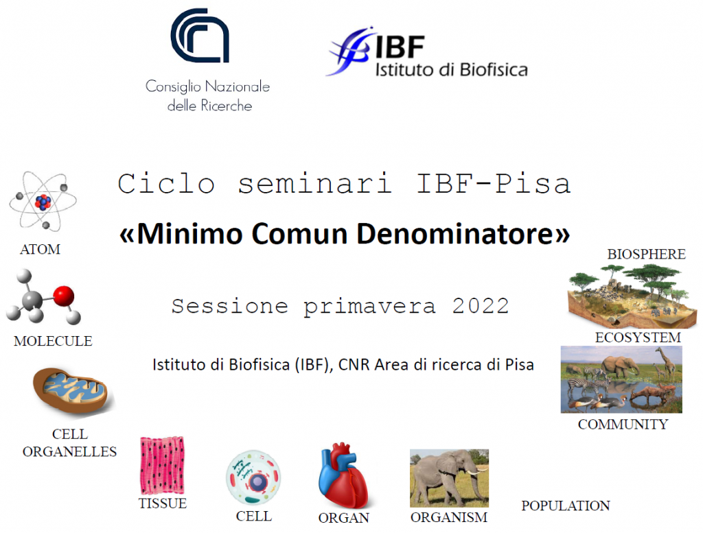 Ciclo Seminari IBF
